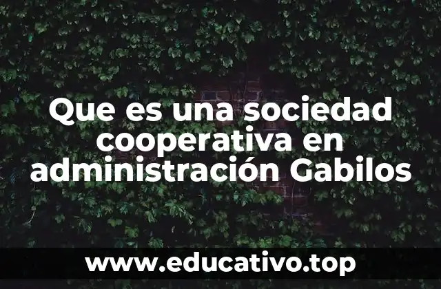 Que es una sociedad cooperativa en administración Gabilos
