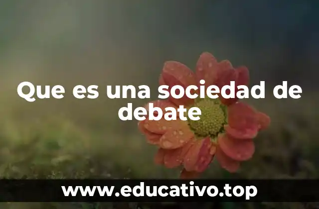 Que es una sociedad de debate