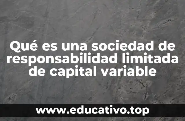 Características principales de la sociedad de responsabilidad limitada de capital variable