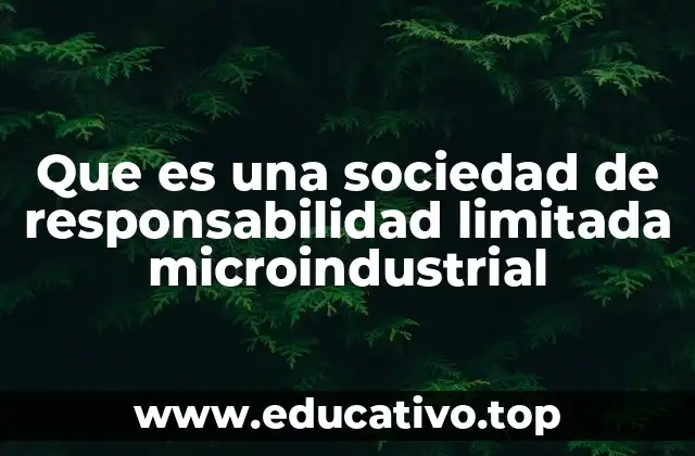 Que es una sociedad de responsabilidad limitada microindustrial
