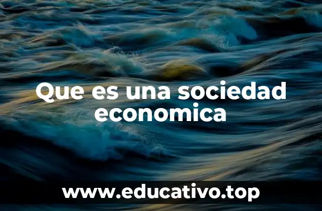 Que es una sociedad economica