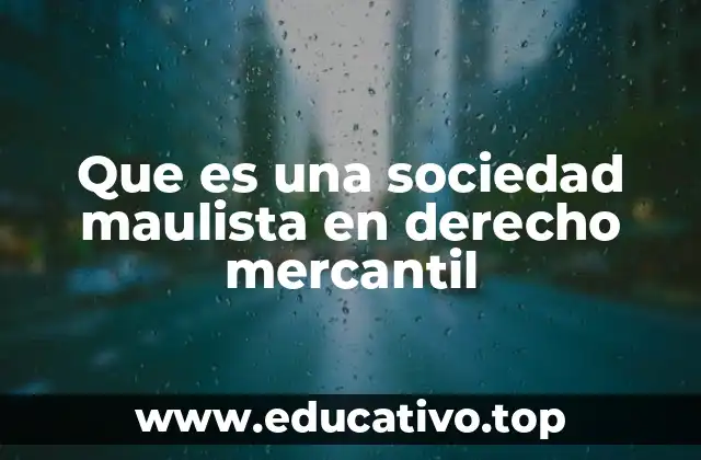 Que es una sociedad maulista en derecho mercantil
