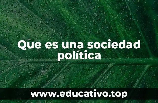 Que es una sociedad política