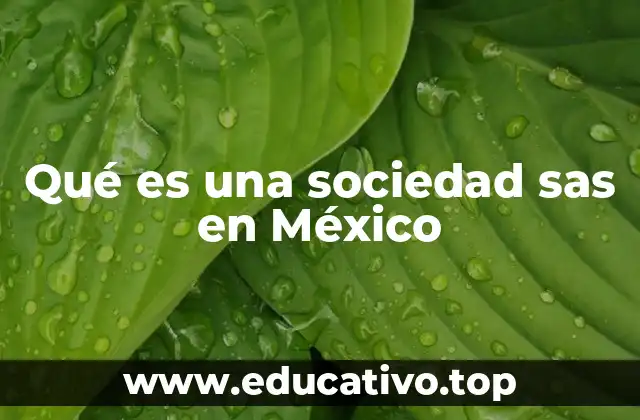 Qué es una sociedad sas en México