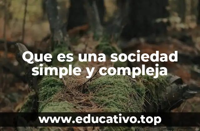 Diferencias entre estructuras sociales básicas y avanzadas
