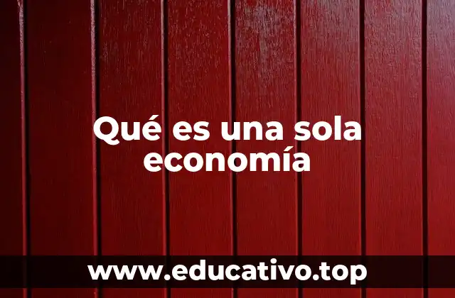 Qué es una sola economía