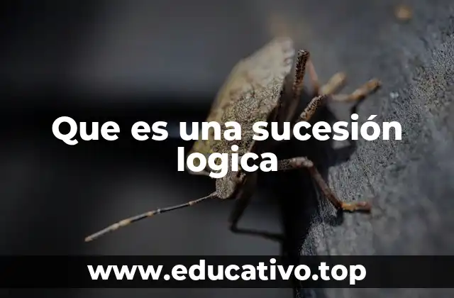 Que es una sucesión logica