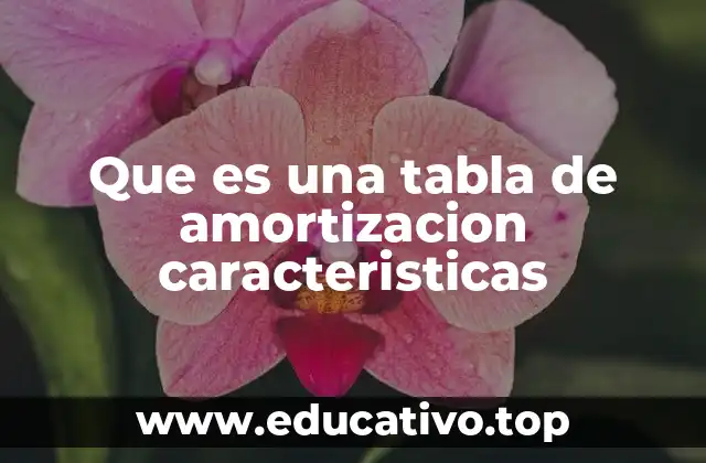 Que es una tabla de amortizacion caracteristicas