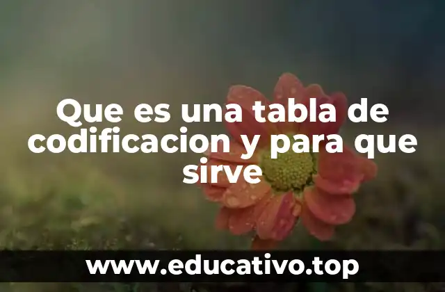 Que es una tabla de codificacion y para que sirve