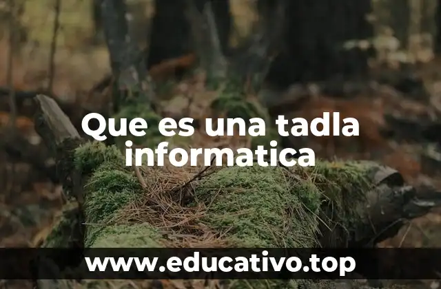 Que es una tadla informatica