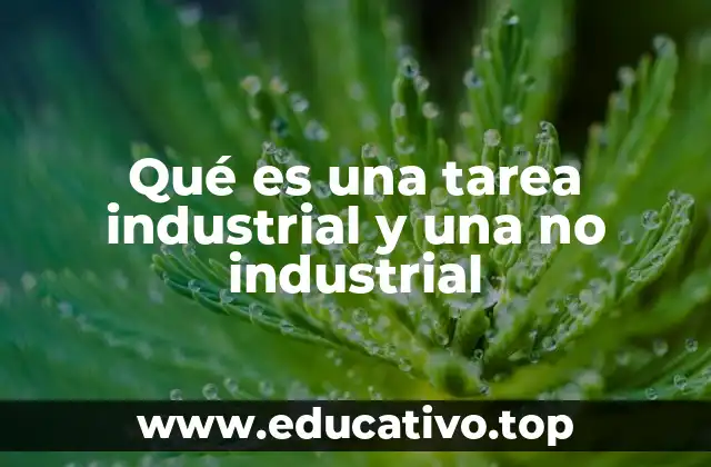 La distinción entre tipos de trabajo en la economía moderna