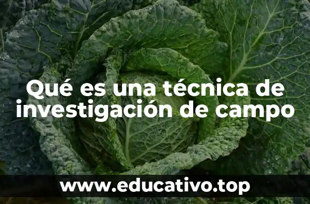 Qué es una técnica de investigación de campo