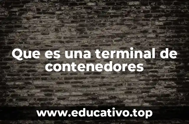 Que es una terminal de contenedores