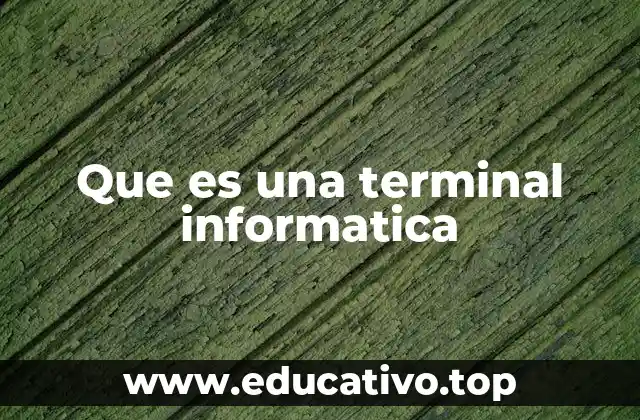 Que es una terminal informatica