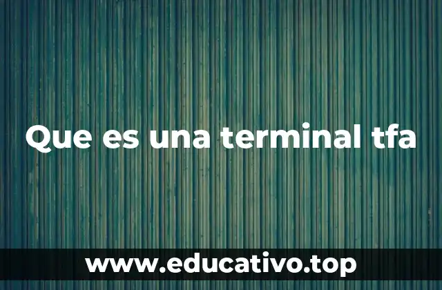 Que es una terminal tfa