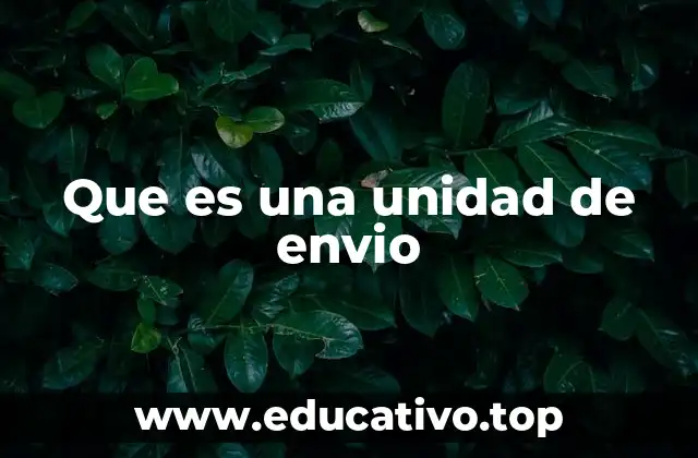 Que es una unidad de envio
