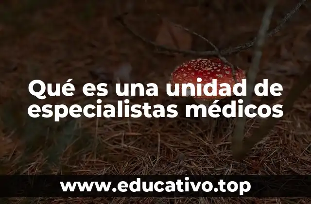 Qué es una unidad de especialistas médicos