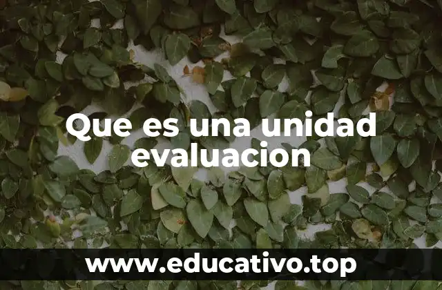 Que es una unidad evaluacion