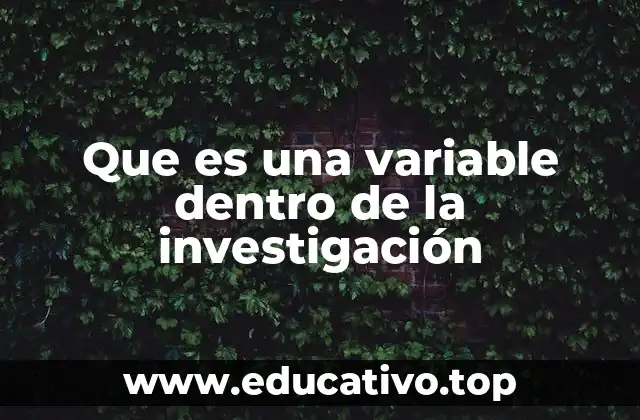 Que es una variable dentro de la investigación