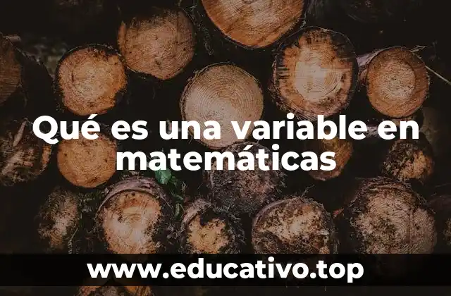 El papel de las variables en el desarrollo del álgebra