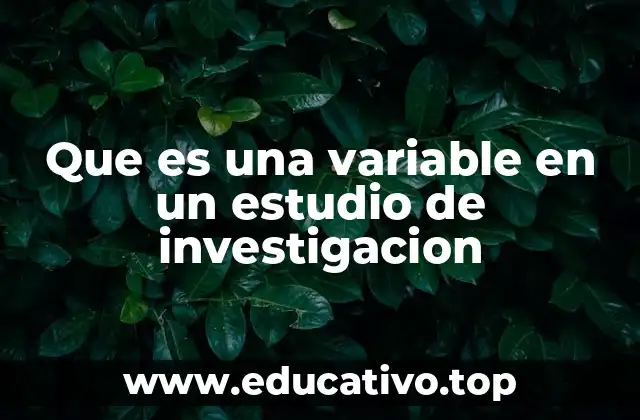 Que es una variable en un estudio de investigacion