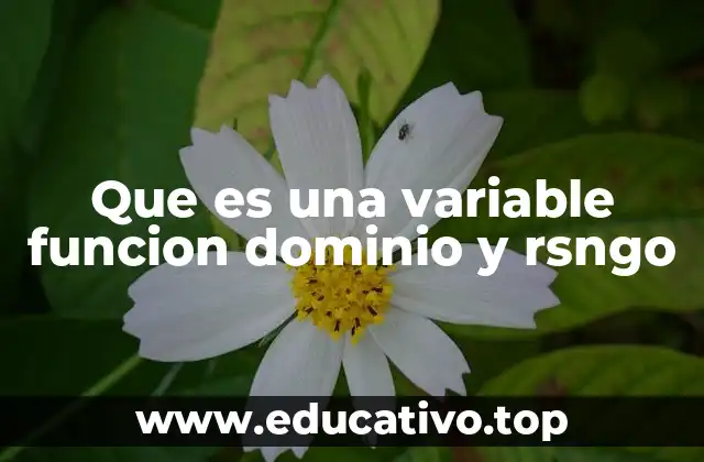Que es una variable funcion dominio y rsngo