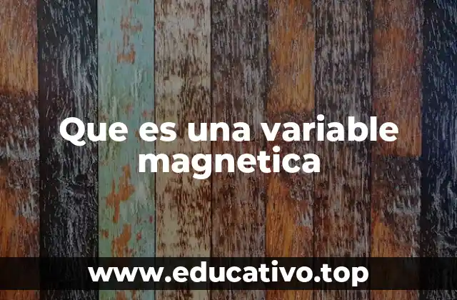 Que es una variable magnetica