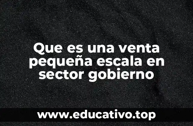 Que es una venta pequeña escala en sector gobierno