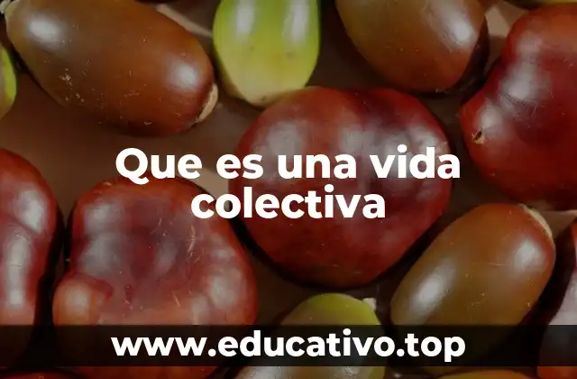 Que es una vida colectiva