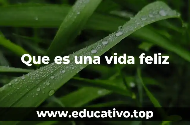 Que es una vida feliz