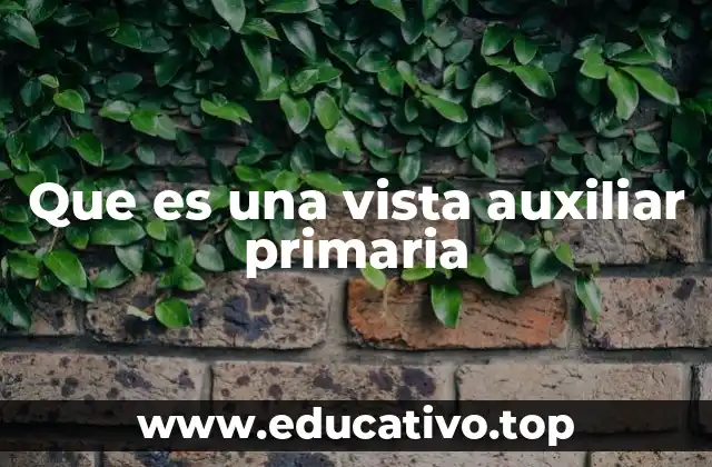 Que es una vista auxiliar primaria