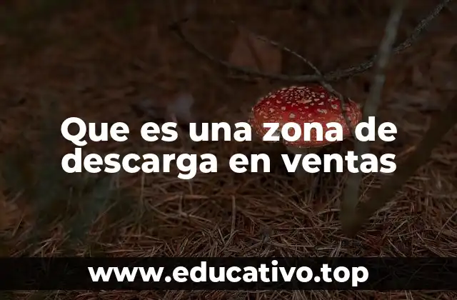 Cómo las zonas de descarga atraen a los clientes potenciales