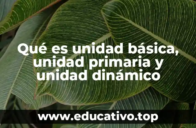 Diferencias entre vivienda funcional y categorización urbana