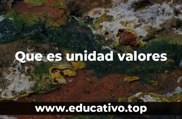 Que es unidad valores