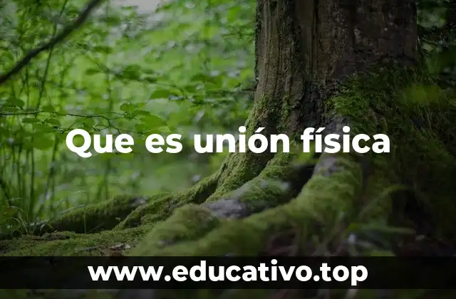 Que es unión física