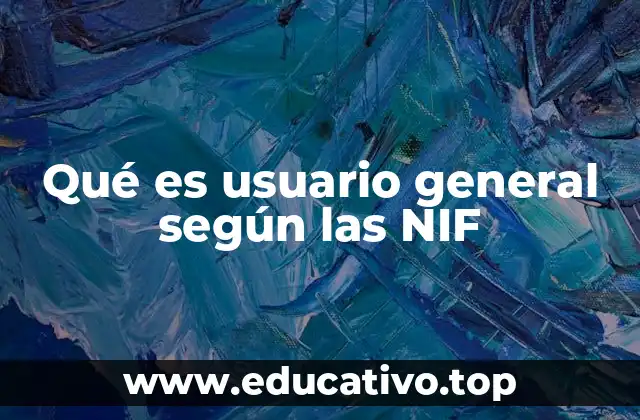 Qué es usuario general según las NIF