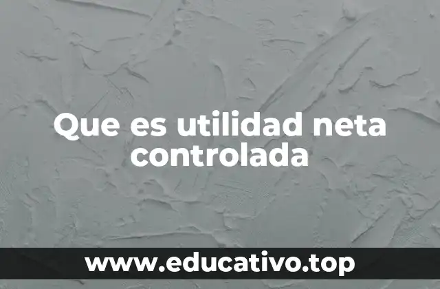 Que es utilidad neta controlada