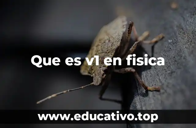 Que es v1 en fisica