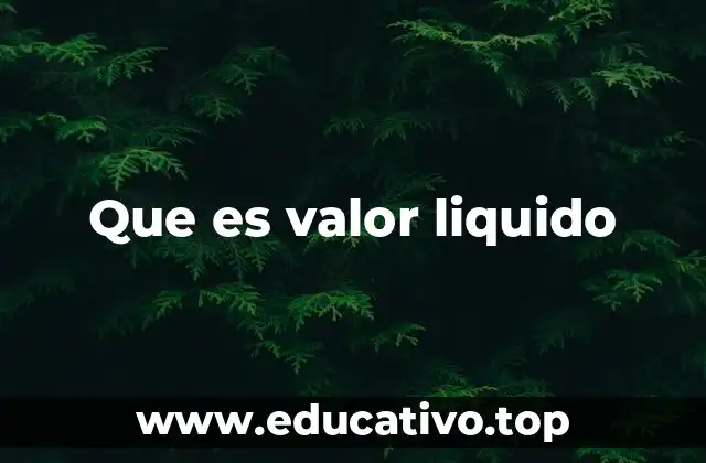 Que es valor liquido