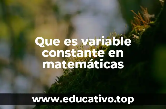 La diferencia entre variables y constantes en ecuaciones matemáticas