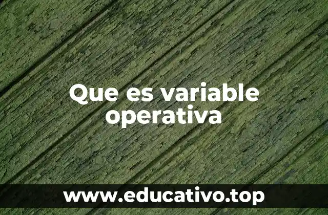Que es variable operativa
