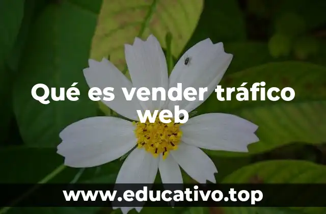 Qué es vender tráfico web
