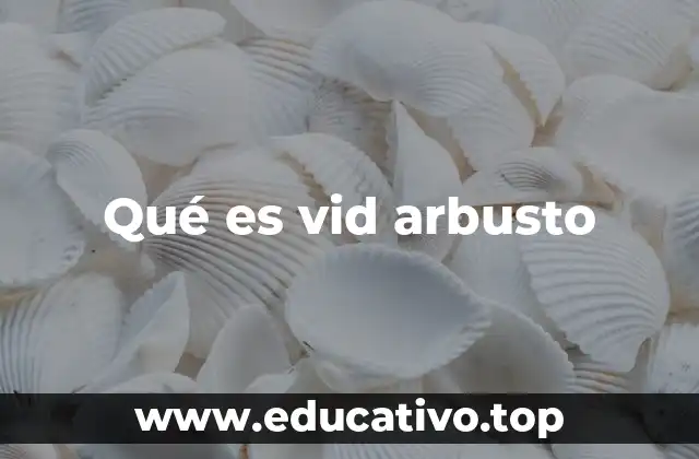 Características del vid arbusto