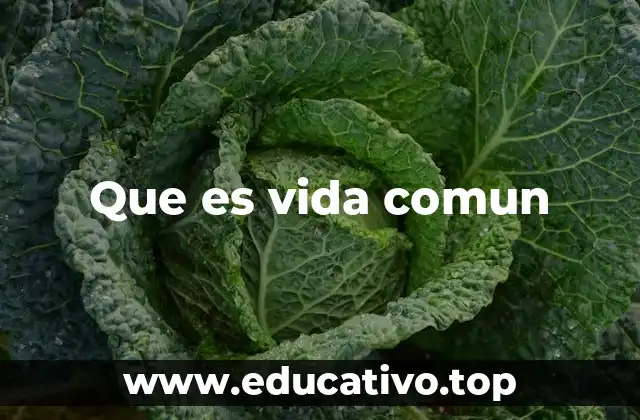 Que es vida comun
