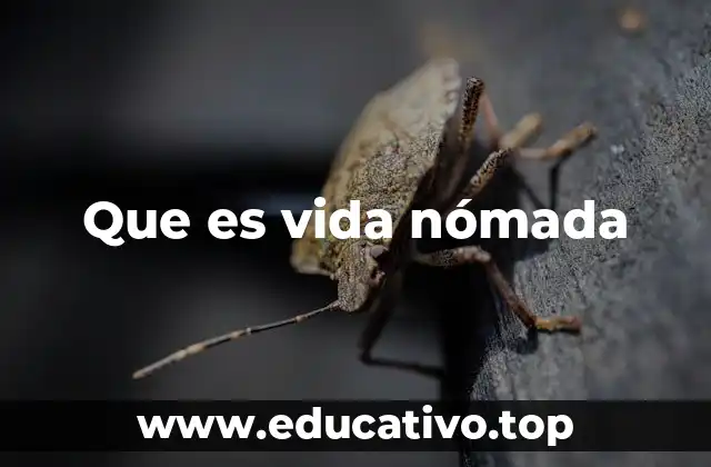 Que es vida nómada