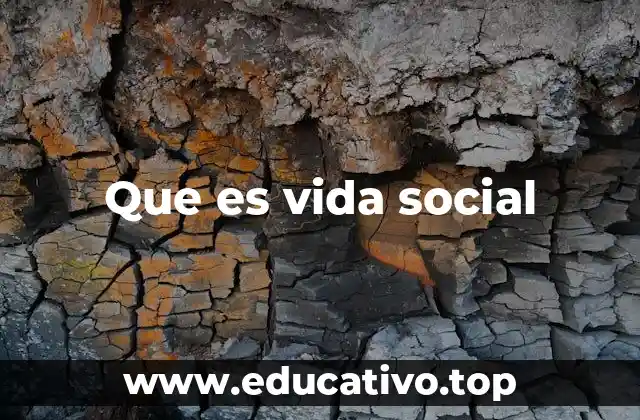 La importancia de las interacciones humanas en el desarrollo personal