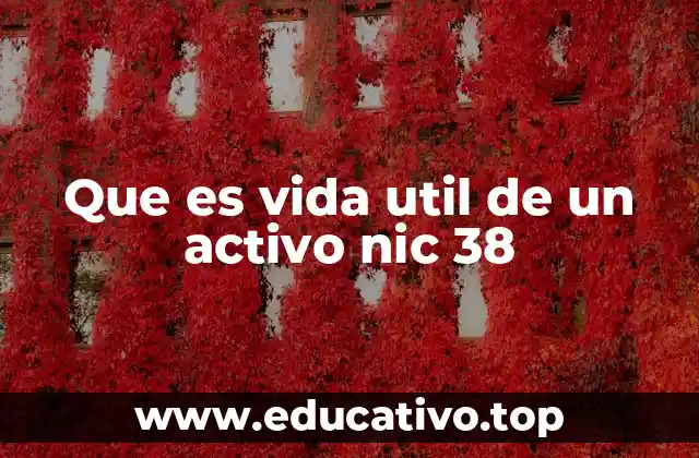 Que es vida util de un activo nic 38