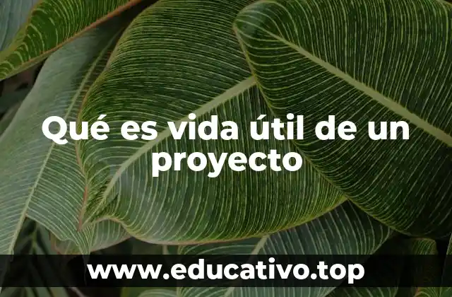 Qué es vida útil de un proyecto