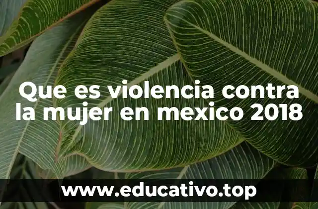 Que es violencia contra la mujer en mexico 2018