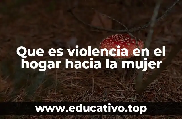 Que es violencia en el hogar hacia la mujer